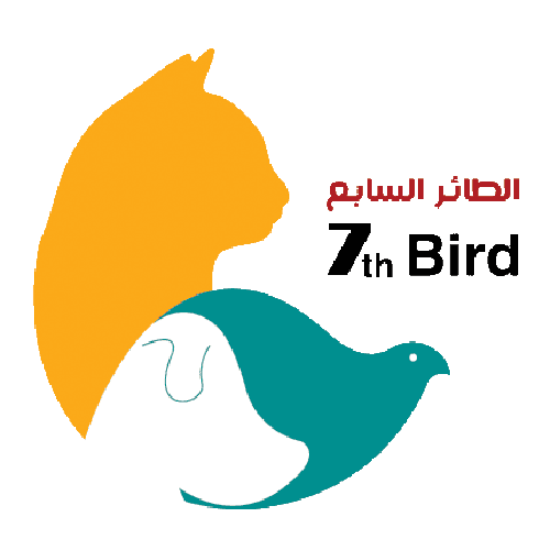 7th Bird